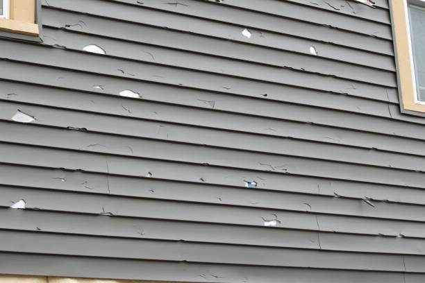 Best Property Management Cleanouts  in Farmingville, NY